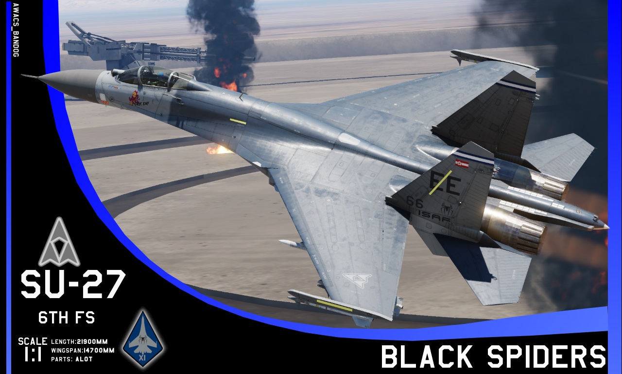 Ace Combat - ISAF 6th Fighter Squadron "Black Spiders"