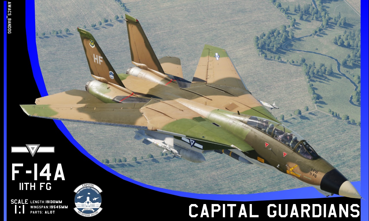 Adygean Air Force 11th Fighter Group "Capitol Guardians" F-14A