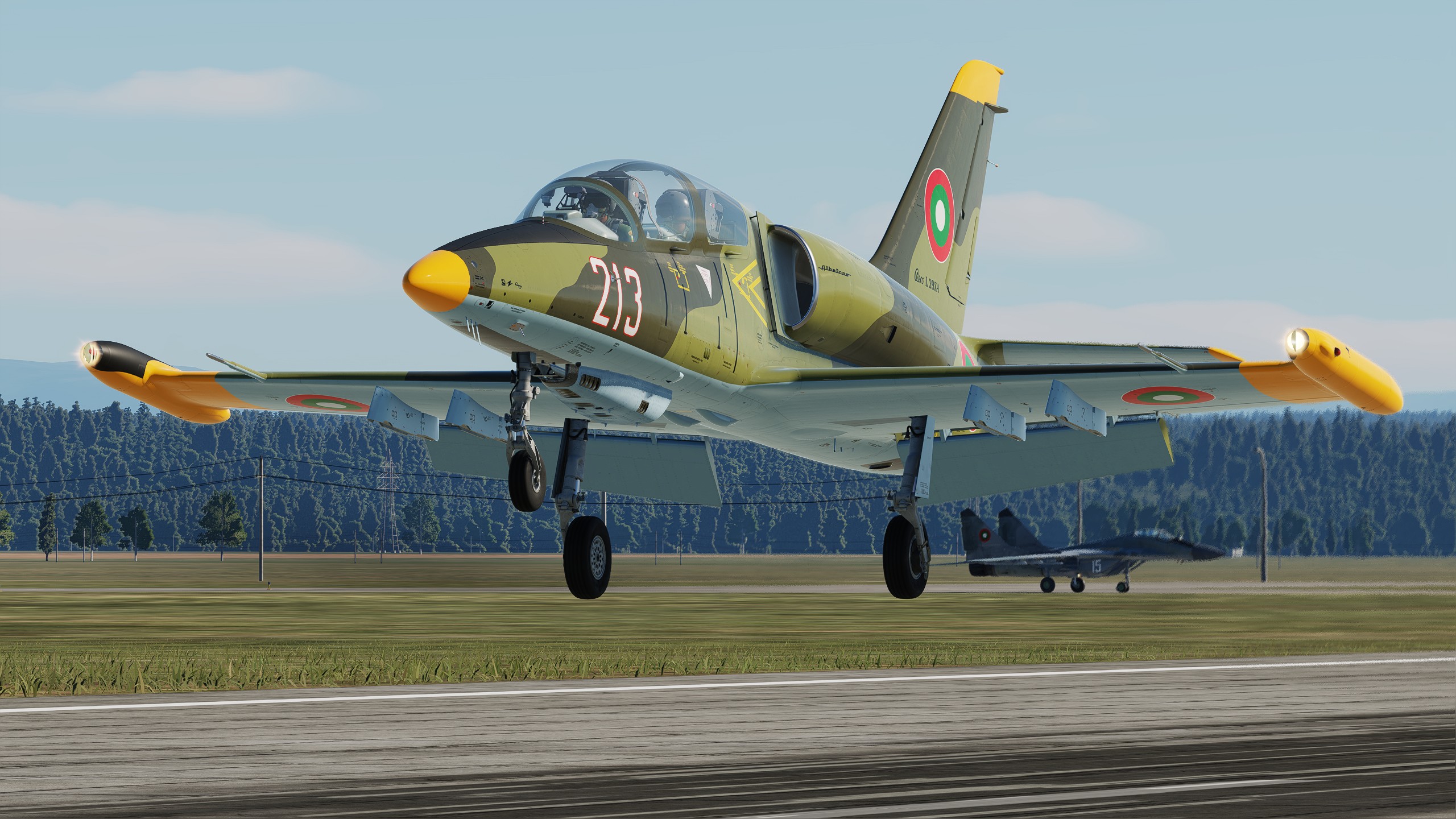 Bulgarian Air Force L-39ZA 213