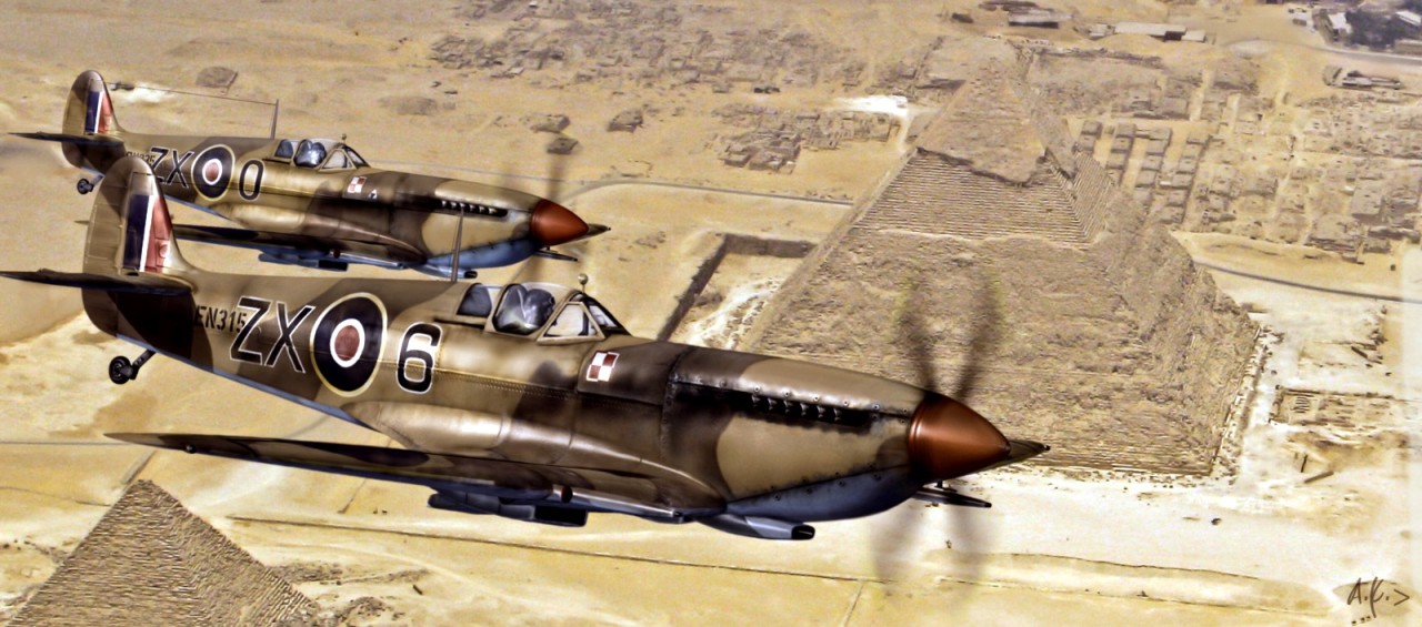 Spitfires Over Tunisia: Polish Fighting Team I: 28 March 1943