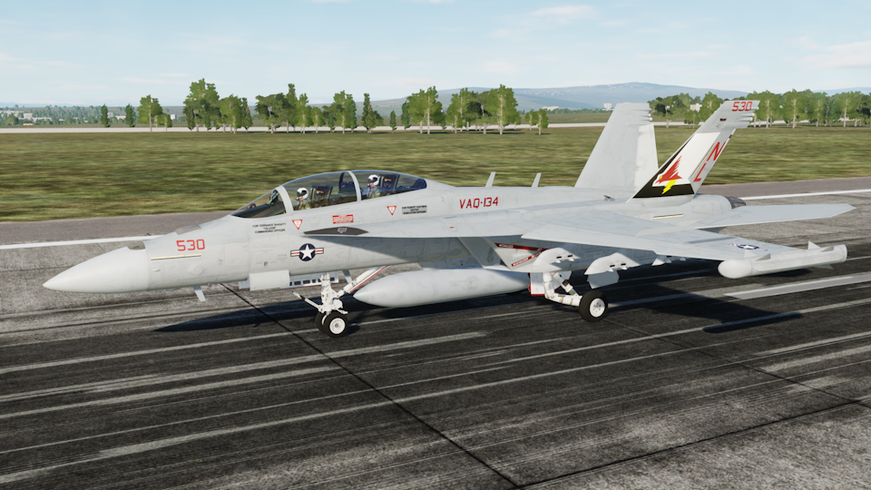 CJS Super Hornet v2.4 EA-18G Growler VAQ-134 NL530