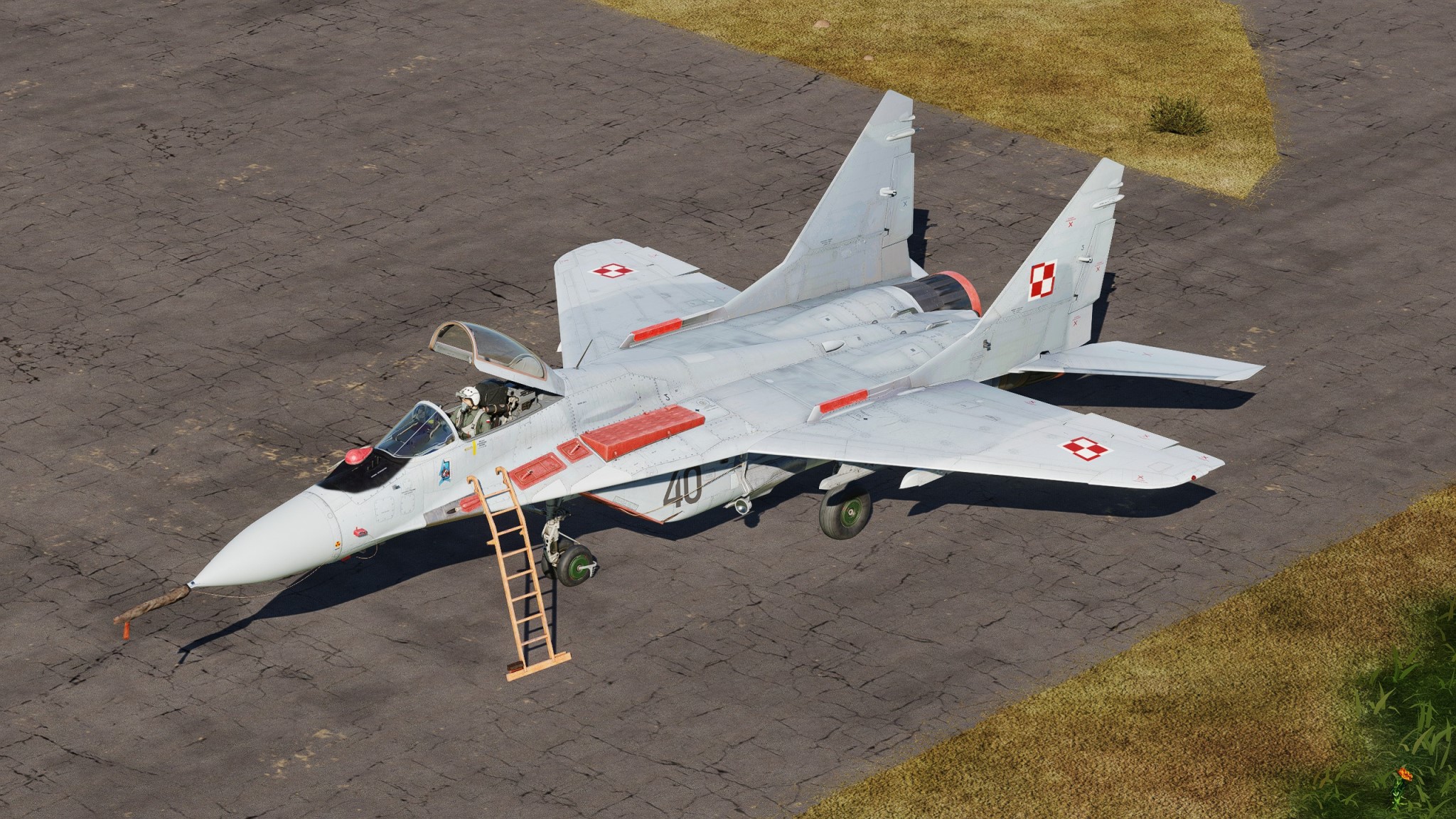 Polish Air Force MiG-29-Fulcrum (FF)