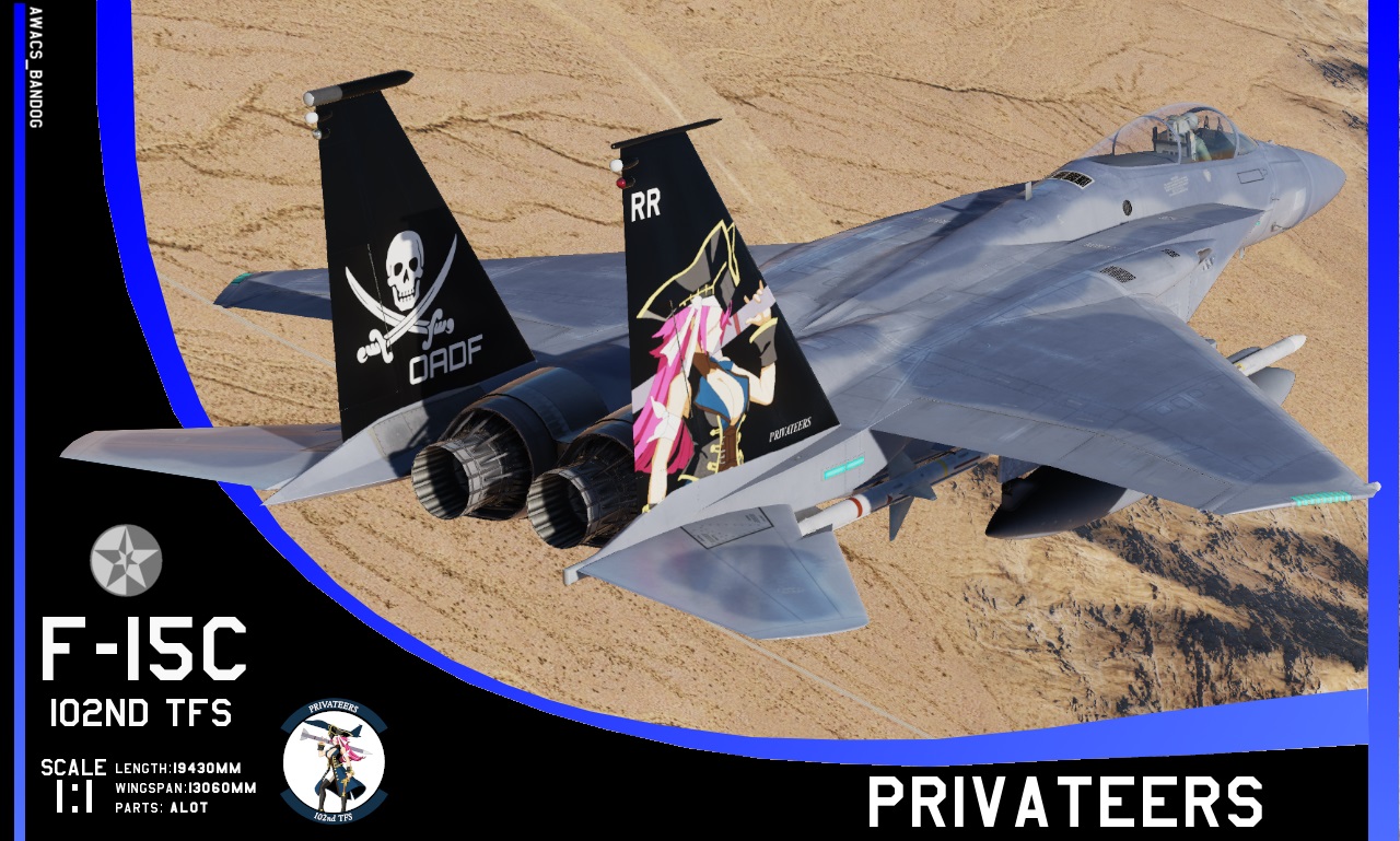 Ace Combat - 102nd Tactical Fighter Squadron "Privateers"