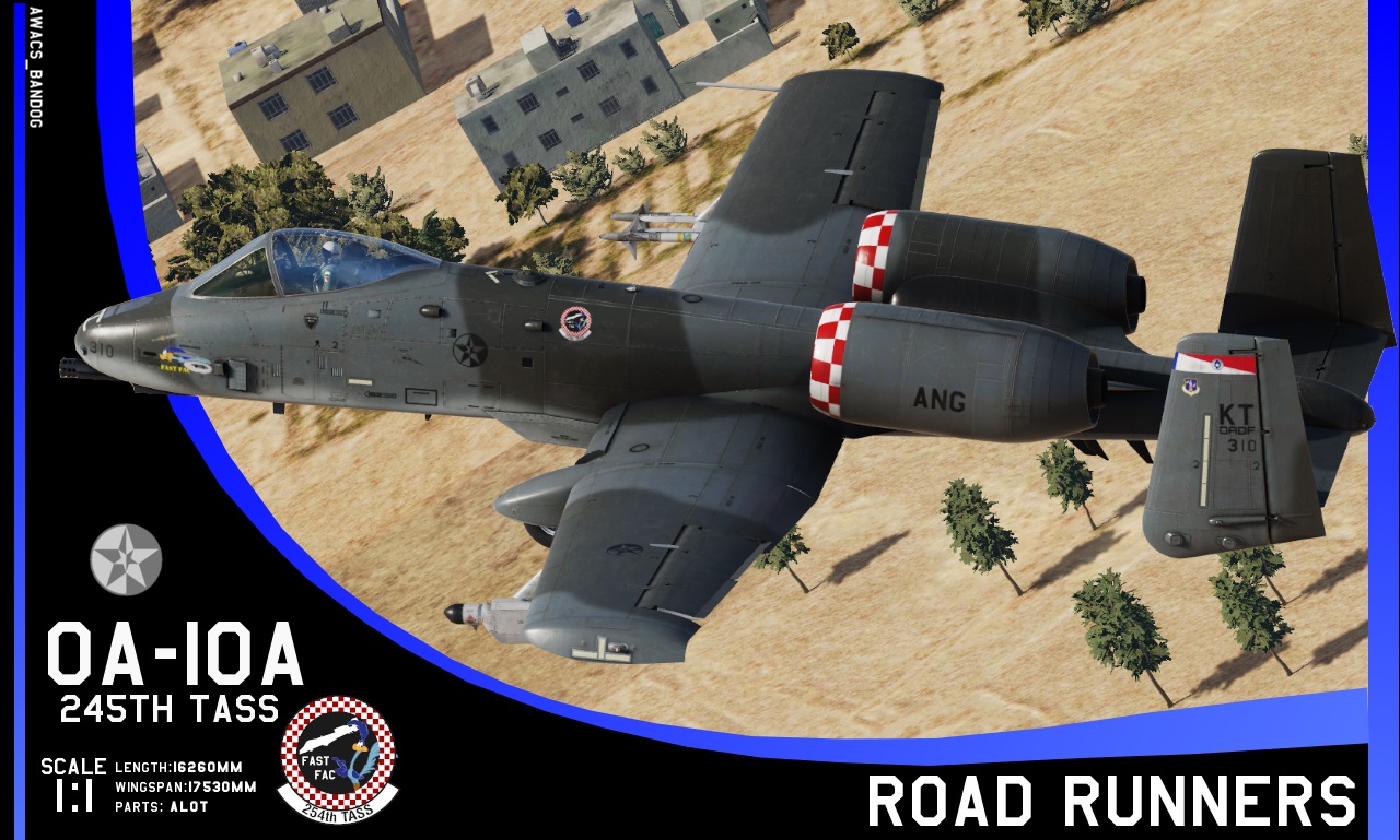 Ace Combat - 254th Tactical Air Support Squadron "Road Runners" Kenton Air National Guard A-10