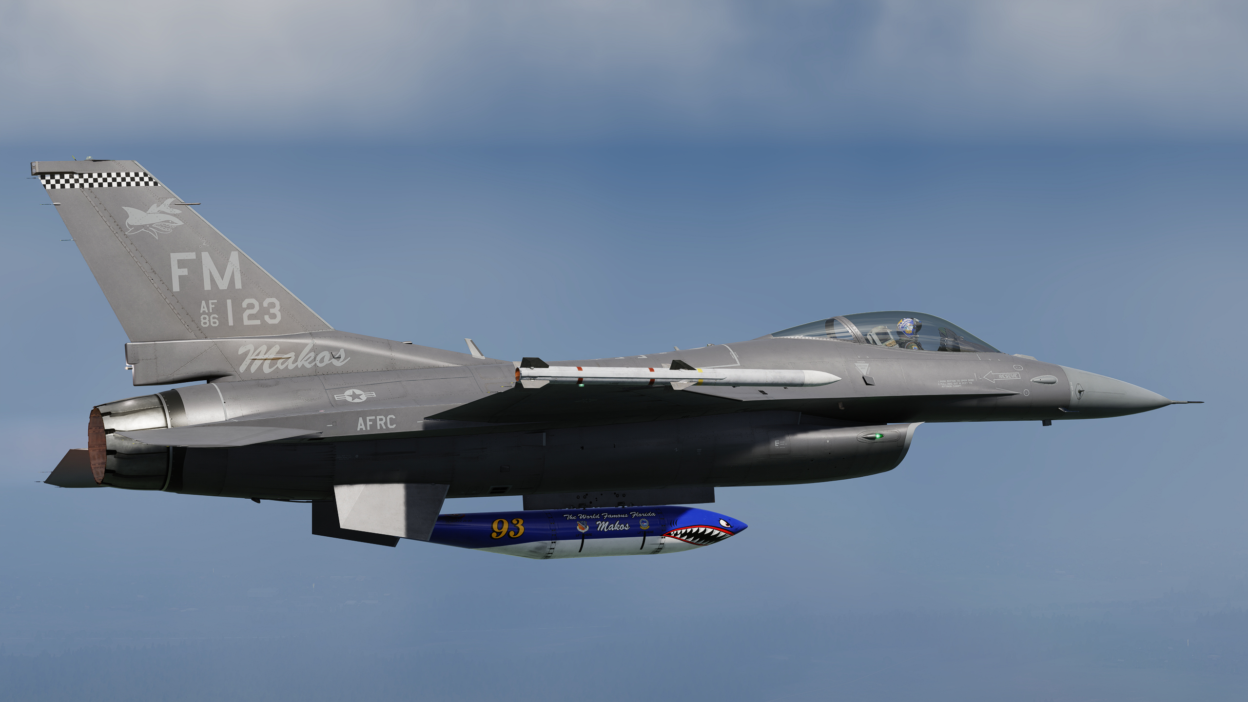 Have Makos - 93rd Fighter Squadron - Color