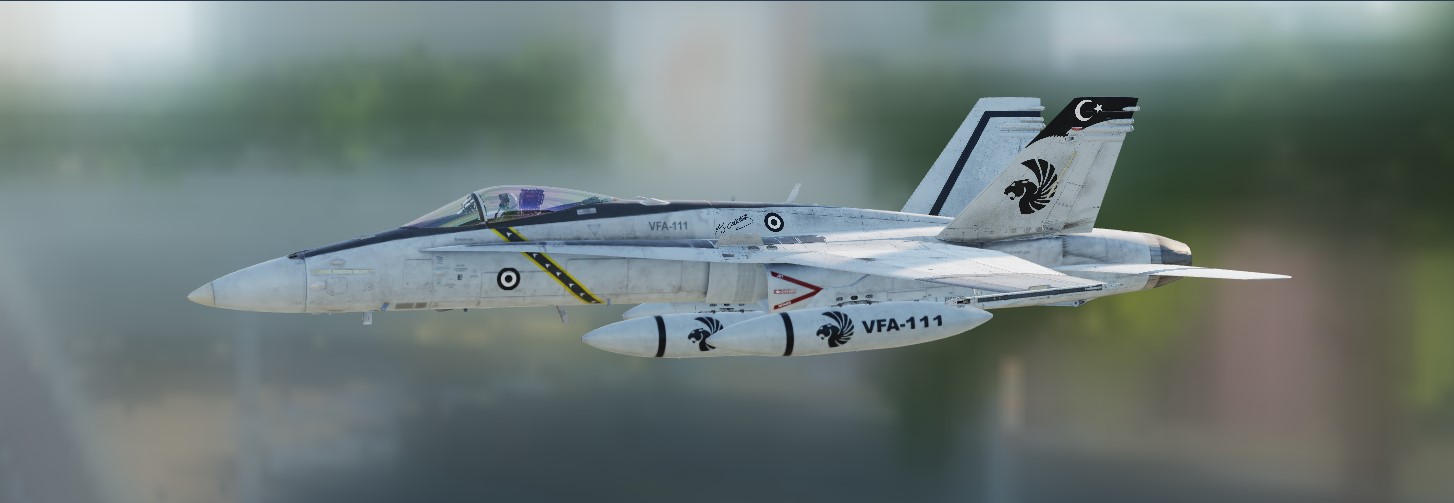 VFA-111 Panter Fictional Livery