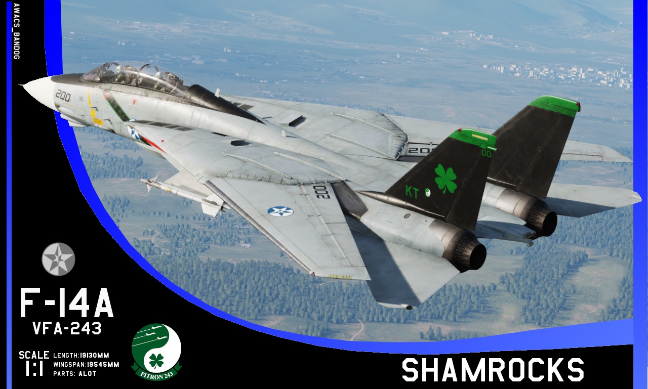 Ace Combat - Strike Fighter Squadron 243 "Shamrocks" 2010 