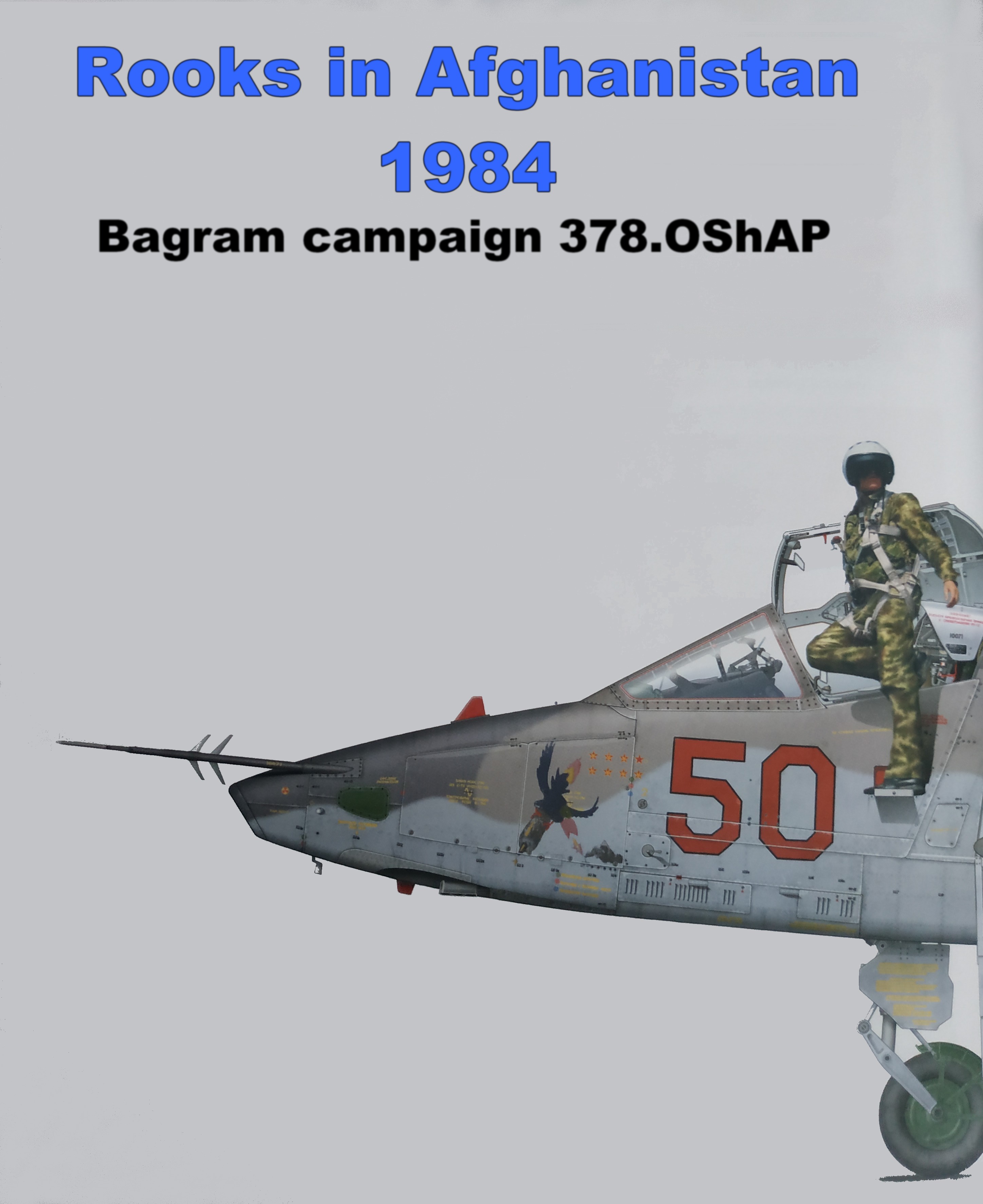 Rooks in Afghanistan 1984